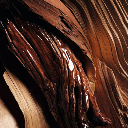 → Ver Perfumes Amaderados 🪵 - Perfumes Colombia