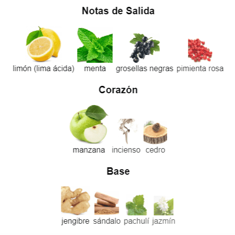 9AM Dive Afnan 100ml EDP 1.1 Premium - Perfumes Colombia