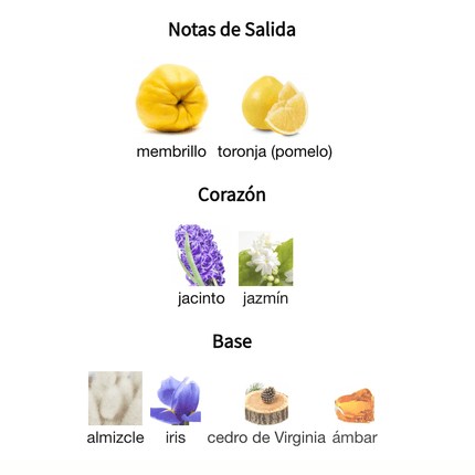 Chance Chanel Eau De Parfum 100ml EDT 1.1 Premium - Perfumes Colombia