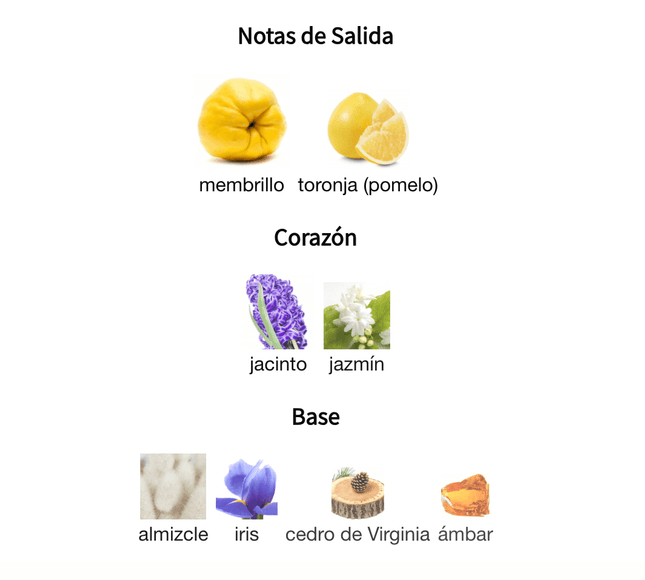 Chance Chanel Eau Tendre 100ml EDT 1.1 Premium - Perfumes Colombia