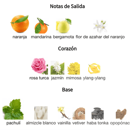 Coco Mademoiselle Chanel 1.1 Premium - Perfumes Colombia