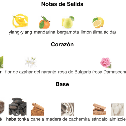 Good Girl Légère Carolina Herrera 1.1 Premium - Perfumes Colombia