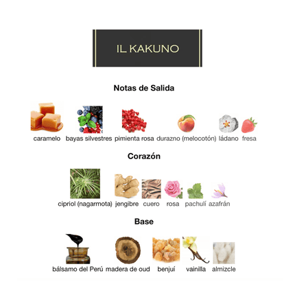 Il Kakuno ILMIN 30ML EDP 1.1 Premium - Perfumes Colombia