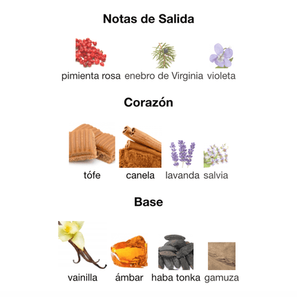 Stronger With You Intensely 100ml EDP 1.1 premium - Perfumes Colombia