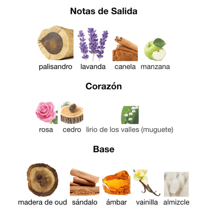 Xerjoff Alexandria II 100ml EDP 1.1 Premium - Perfumes Colombia